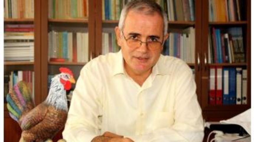 Sarıca: "tavuk&ccedil;uluk Zor G&uuml;nler Yaşıyor"