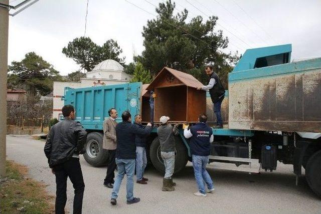 Sokak Hayvanları, Büyükşehirin Koruması Altında