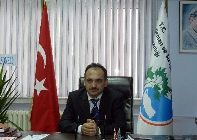 Yaban G&uuml;zelleri, Fotokapan Objektifinde 2