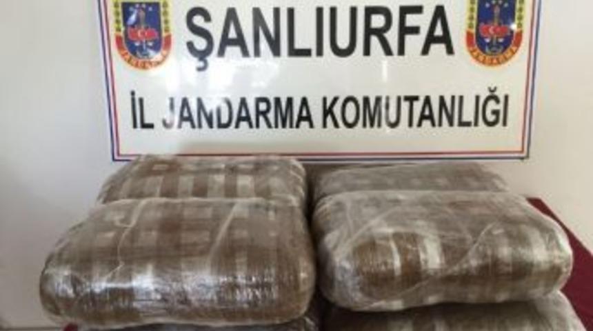 Yolcunun Valizinden 50 Kilo Esrar &Ccedil;ıktı