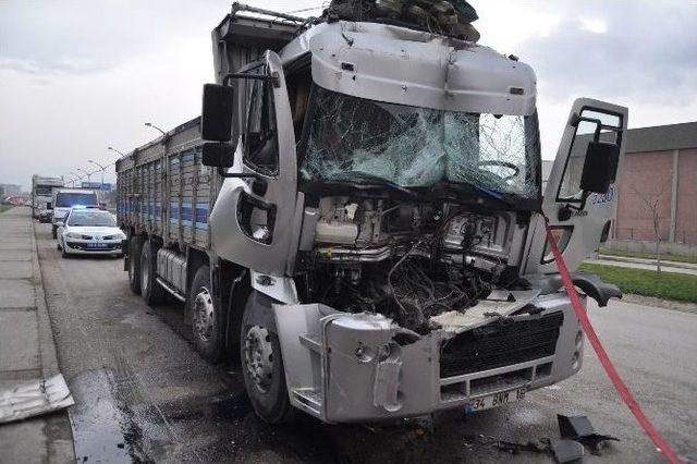 Park Halindeki Tır’a Çarpan Kamyon Şoförü Ağır Yaralandı