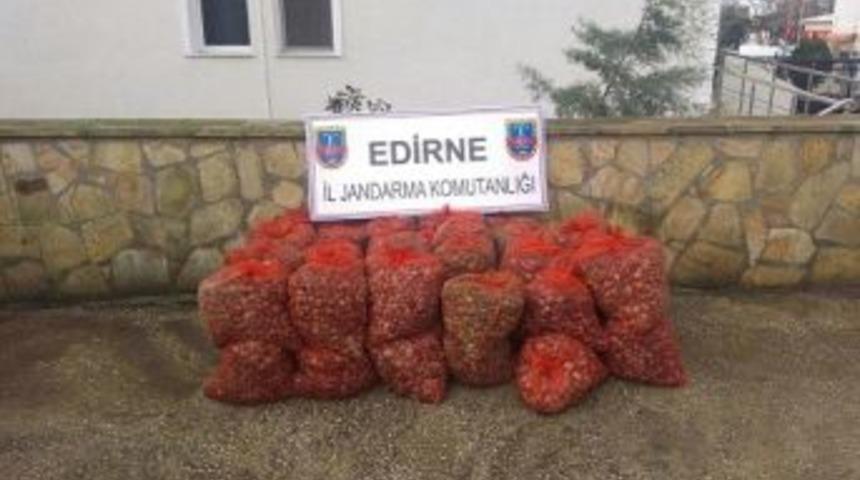 &rsquo;dur&rsquo; İhtarına Uymayan Ara&ccedil;tan 45 Bin Tl&rsquo;lik Ka&ccedil;ak Midye &Ccedil;ıktı