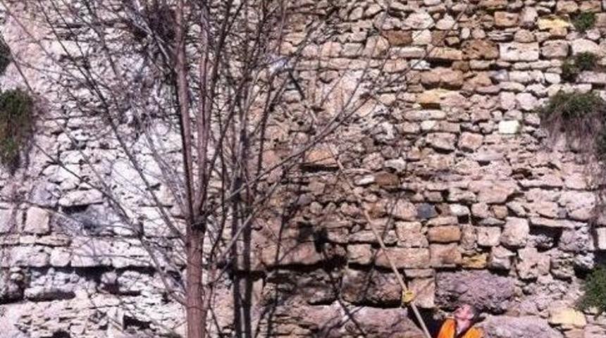 Sinop Belediyesi Temizlik &Ccedil;alışmaları