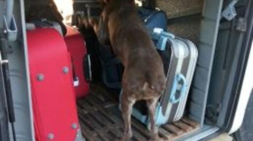 Manisa&rsquo;da 480 Adet Uyuşturucu Hap Ele Ge&ccedil;irildi