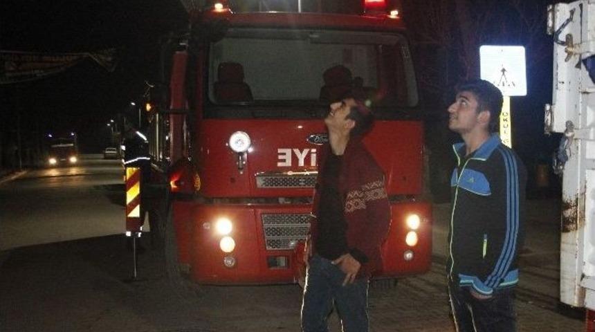 Ceylanpınar&rsquo;da Kedi Kurtarma Operasyonu