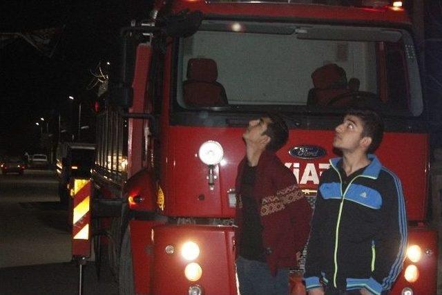 Ceylanpınar&rsquo;da Kedi Kurtarma Operasyonu 1