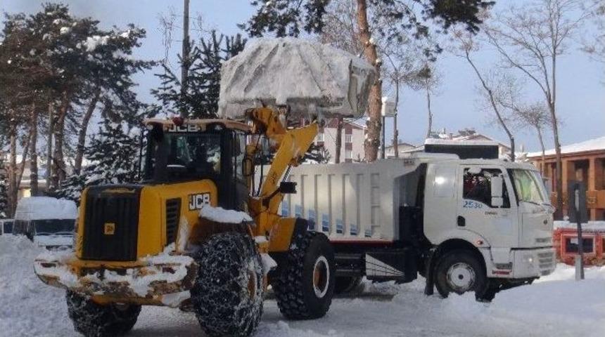 Tatvan&rsquo;da Karlar Kamyonlarla Şehir Dışına Taşınıyor