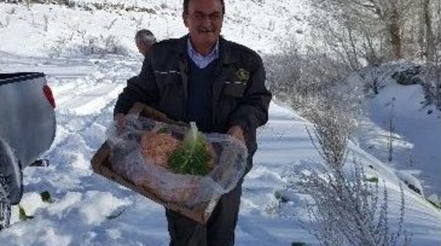 Yemleme &Ccedil;alışmaları Aralıksız Devam Ediyor