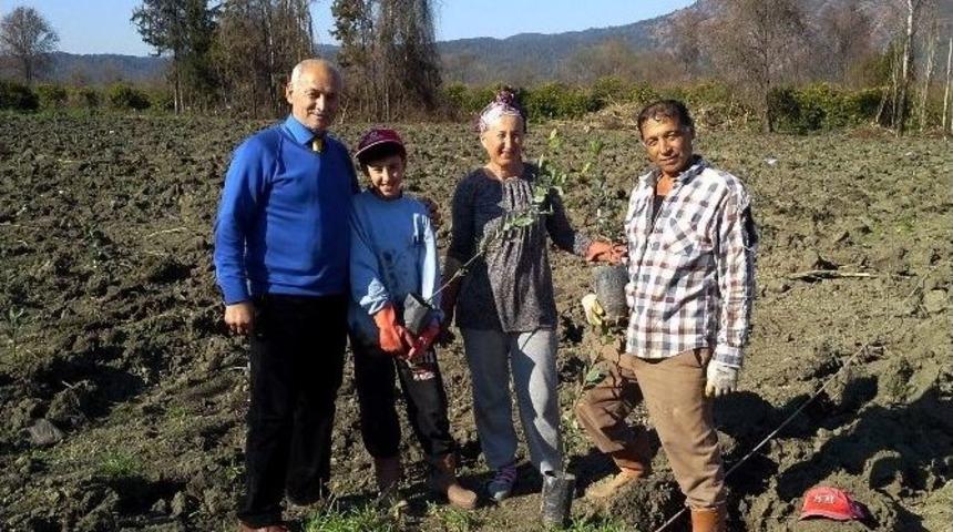 Dalaman Ve K&ouml;yceğiz&rsquo;e Defne Bah&ccedil;eleri Kuruldu