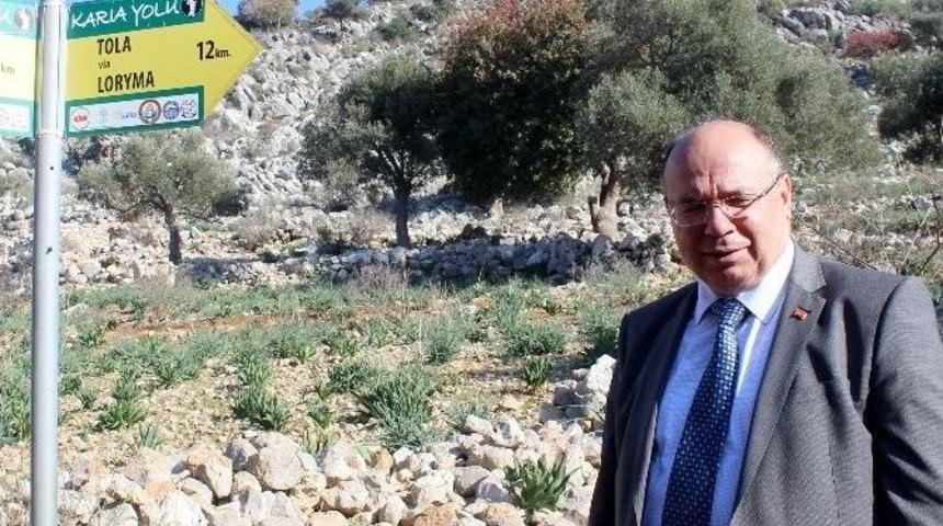 Vali &Ccedil;i&ccedil;ek: &ldquo;karamsarlığa Gerek Yok&rdquo;