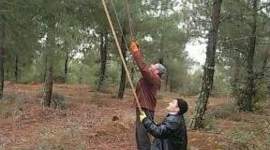 Vezirk&ouml;pr&uuml; Ormanlarında B&ouml;cek Operasyonu