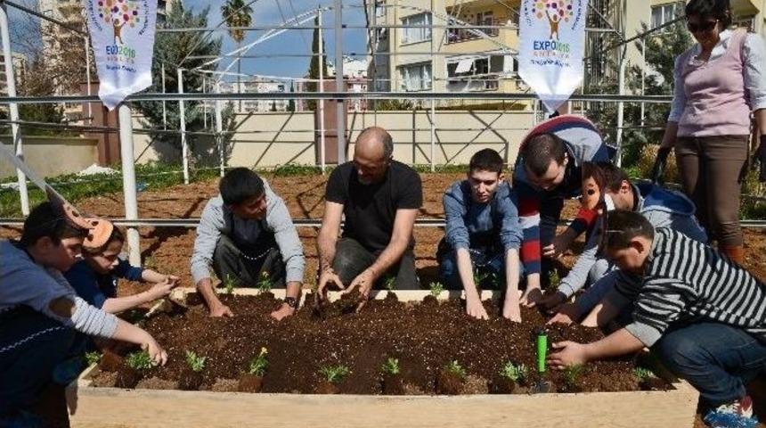Expo 2016&rsquo;dan &Ccedil;ocuklara Toprağı Sevdirecek Proje