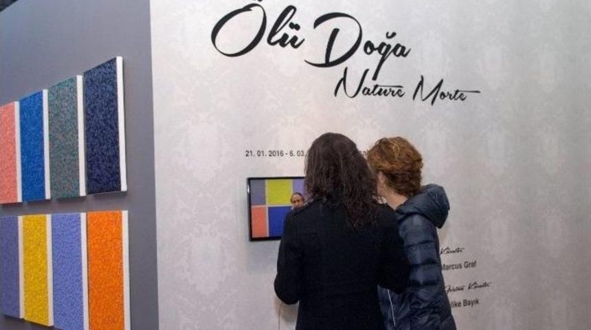 Plato Sanat&rsquo;ın &rsquo;&ouml;l&uuml; Doğa Sergisi&rsquo; A&ccedil;ıldı