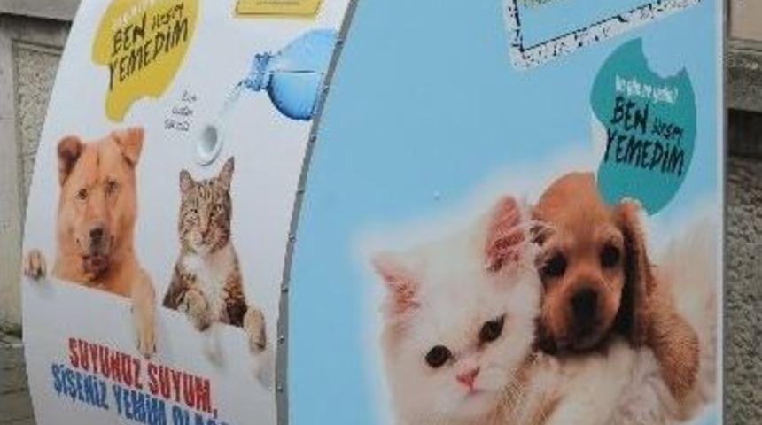 Tuzla&rsquo;da Sokak Hayvanları &lsquo;mama Otomatı&rsquo; İle Besleniyor