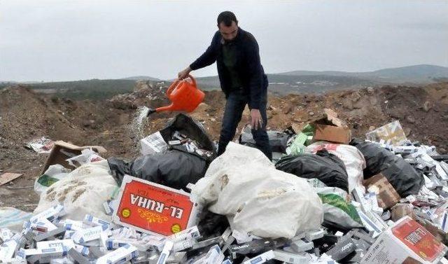 Uşak’ta 66 Bin Paket Kaçak Sigara İmha Edildi