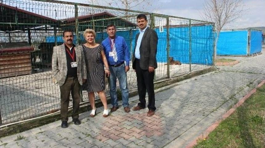 Kihayko Ve Haykonfed Osmaniye&rsquo;de İncelemelerde Bulundu