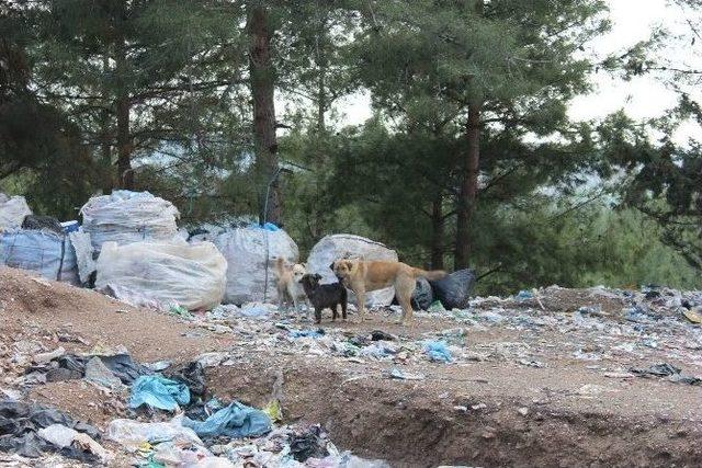 Kihayko Ve Haykonfed Osmaniye’de İncelemelerde Bulundu