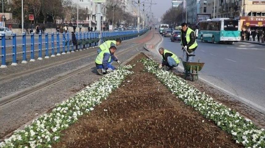 B&uuml;y&uuml;kşehir&rsquo;den 2 Milyon &Ccedil;i&ccedil;ek