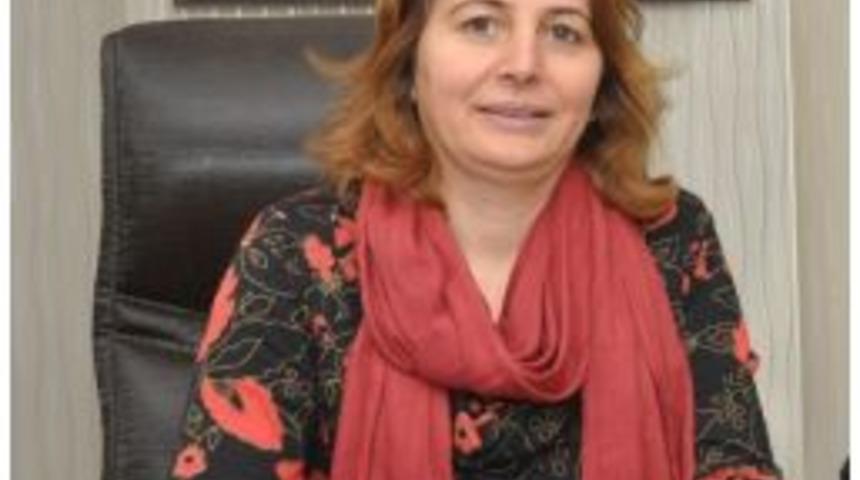 Kartepe&rsquo;de Yeni Sanayi İşletmeleri Mercek Altında