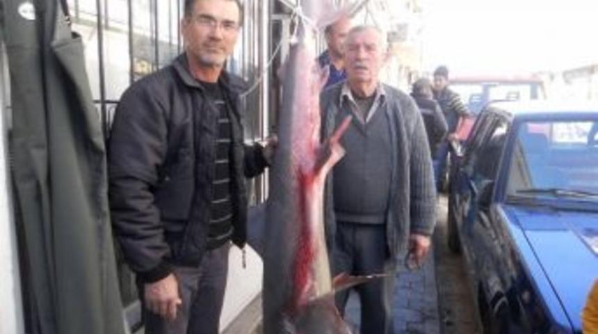 Ortaca&rsquo;da Amat&ouml;r Balık&ccedil;ının Oltasına K&ouml;pek Balığı Takıldı