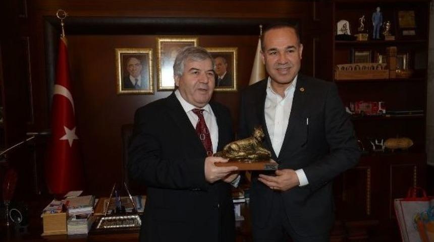 S&ouml;zl&uuml;&rsquo;ye Azerbaycan&rsquo;dan Destek