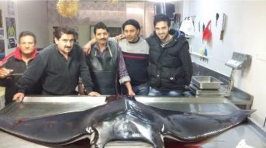 Hatay&rsquo;da Dev U&ccedil;an Vatoz Yakalandı