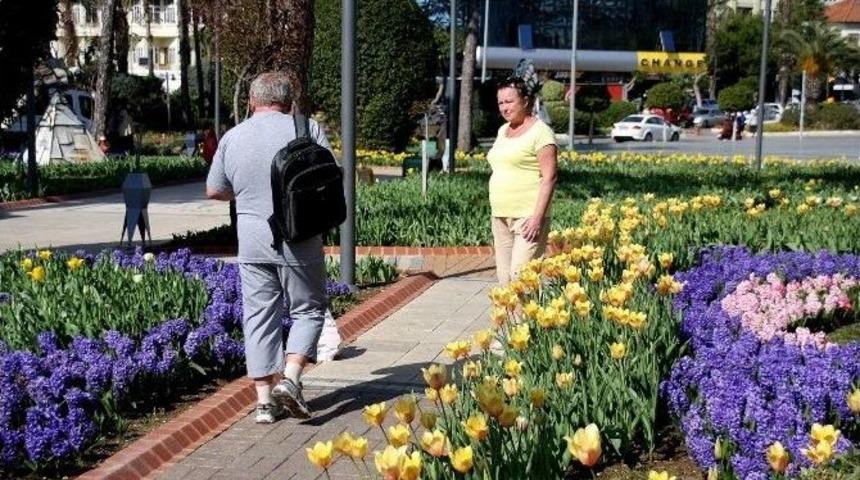 Alanya&rsquo;da Laleler &Ccedil;i&ccedil;ek A&ccedil;tı