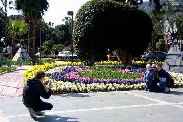 Alanya’da Laleler Çiçek Açtı