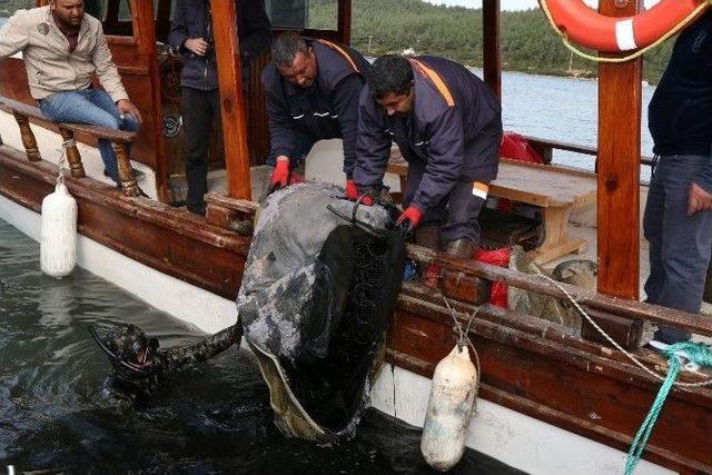 Deniz Dibinden Çıkanlar Görenleri Şaşırttı