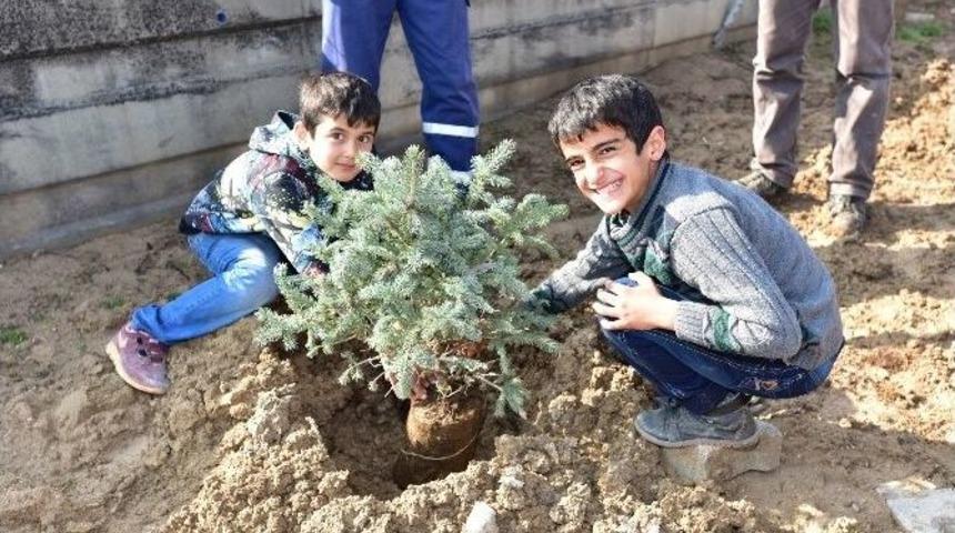 Battalgazi Belediyesi Fidanları Toprakla Buluşturuyor