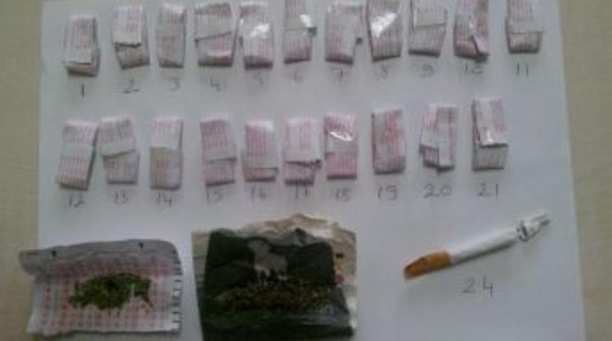 Yolcunun &Ccedil;antasından Bonzai &Ccedil;ıktı