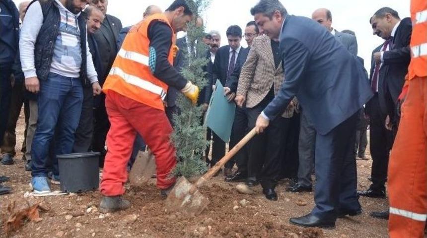 Kahta Seyir Tepesinde İlk Fidanlar Ekildi