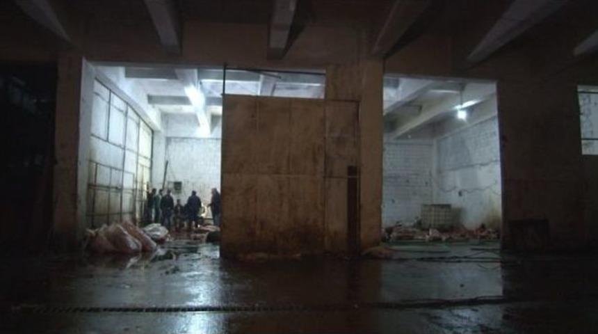 İzmir&rsquo;de At Eti Operasyonu: 14 At Kesilmiş Halde Bulundu