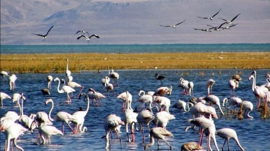 Doğa Turizmine 2 Milyon 650 Bin Tl