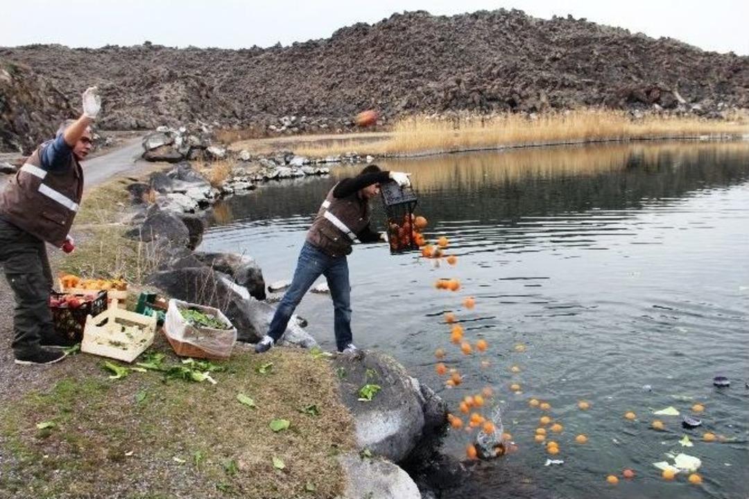 Iğdır&rsquo;da Yaban Hayvanları İ&ccedil;in Yemleme &Ccedil;alışması