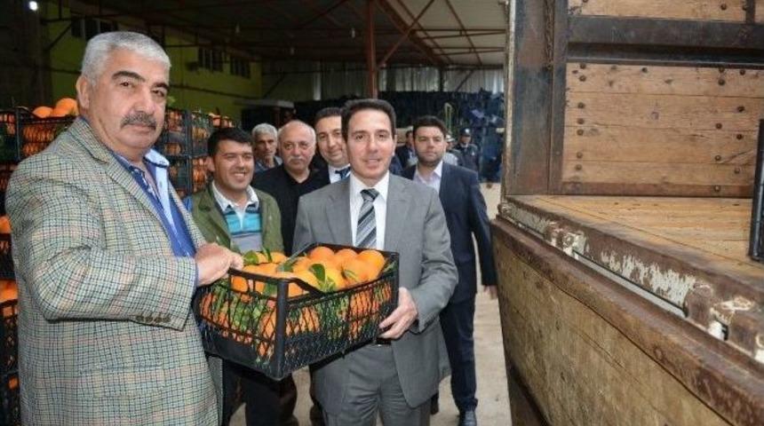 G&uuml;neydoğu&rsquo;daki G&uuml;venlik G&uuml;&ccedil;lerine Adana&rsquo;dan Portakal