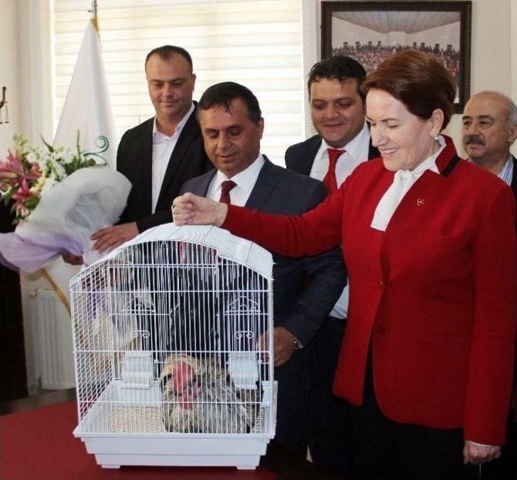 Mhp’li Akşener’den ‘kurultay Toplanacak’ Çıkışı G4