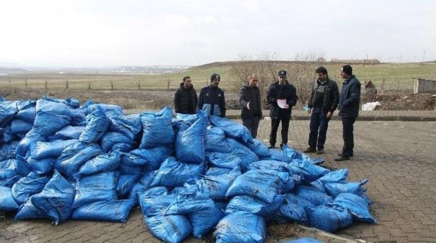 Kalitesiz K&ouml;m&uuml;rler Toplatıldı