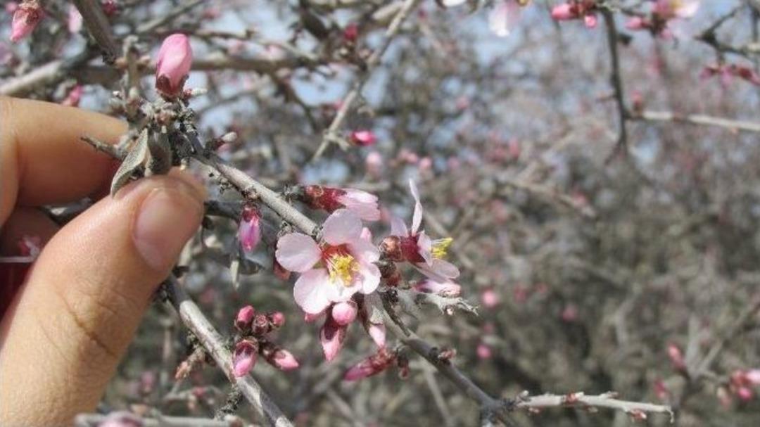Gaziantep&rsquo;te Hava Sıcaklığı Yaz G&uuml;nlerini Aratmadı