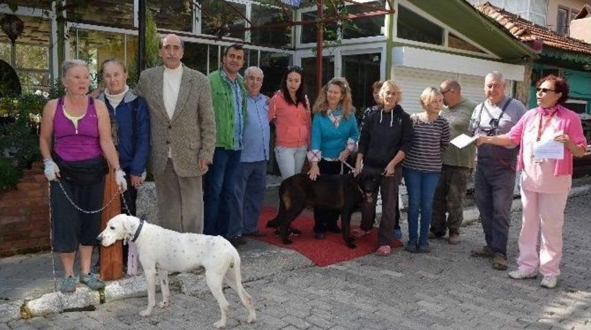 Her İşletmeye Bir Pati