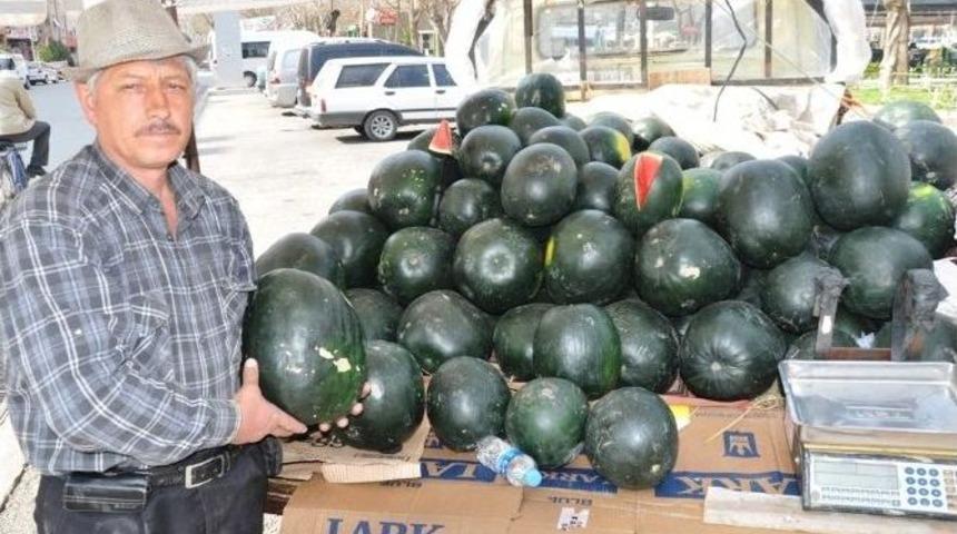 Yılın İlk Karpuzu Tezgahta