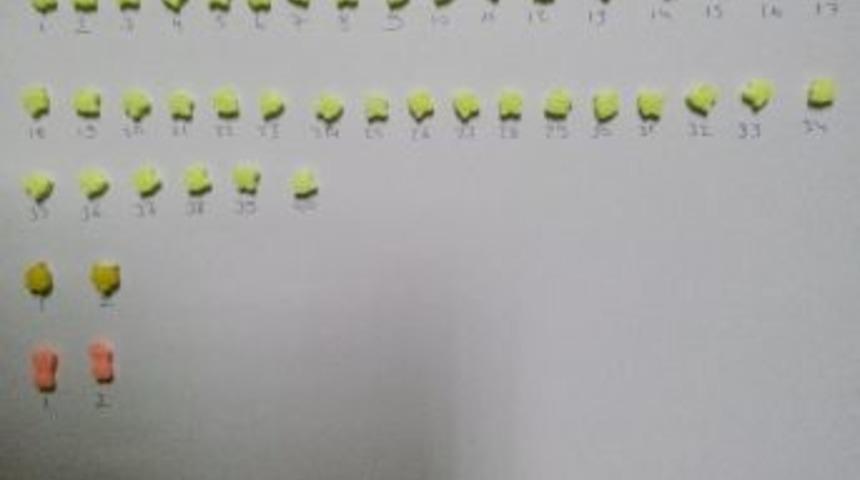 Edirne&rsquo;de Uyuşturucu 44 Hap Ele Ge&ccedil;irildi