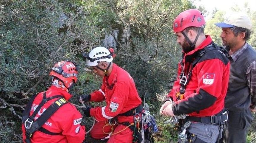 Anne Ke&ccedil;iyi Kurtarmak İ&ccedil;in Akut Seferber Oldu