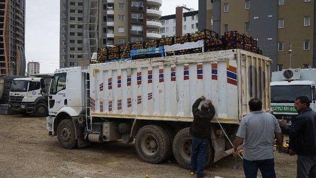 Mezitli’den Diyarbakır’a 10 Ton Narenciye