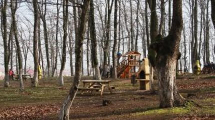 Akyazı Kuzuluk Mesire Alanı Yaza Hazır