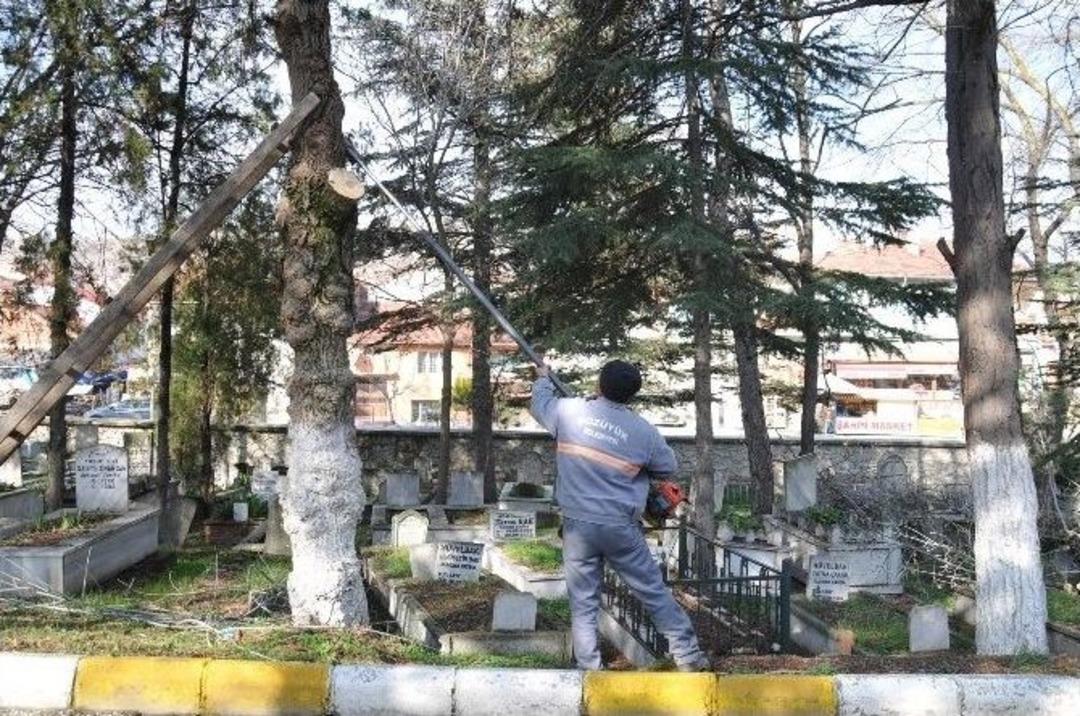 Mezarlıkta Ağa&ccedil; Budama &Ccedil;alışmaları Başlatıldı