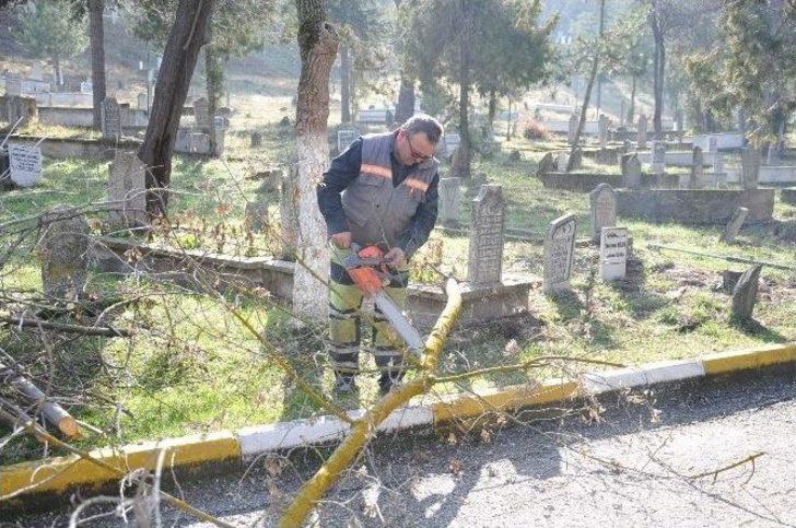 Mezarlıkta Ağaç Budama Çalışmaları Başlatıldı G2