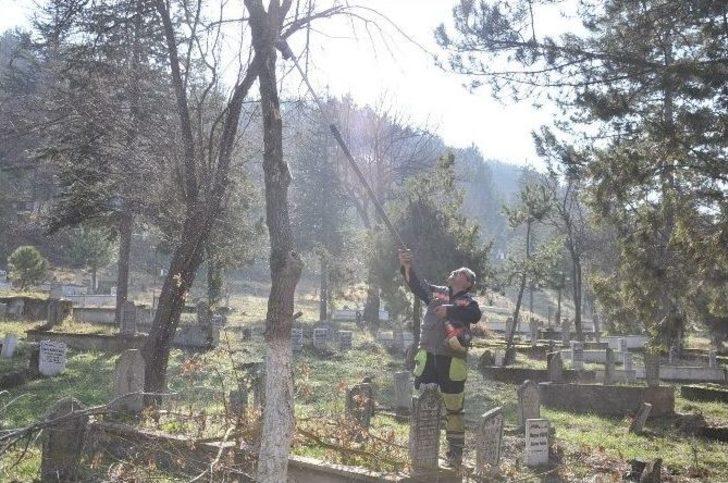 Mezarlıkta Ağaç Budama Çalışmaları Başlatıldı G4