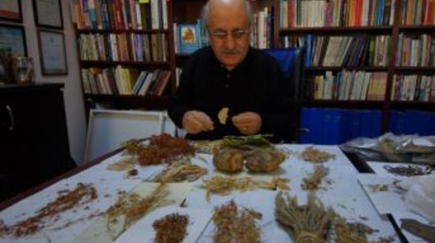 Ar&uuml;&rsquo;l&uuml; Akademisyen Ardahan&rsquo;ın Şifalı Bitkilerini Anlatacak