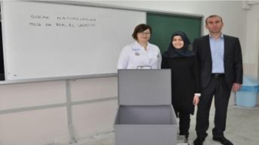 Bandırma&rsquo;da Sokak Hayvanları A&ccedil; Kalmayacak